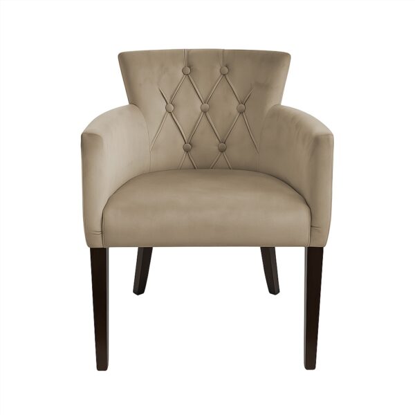 Fotelja Omega D